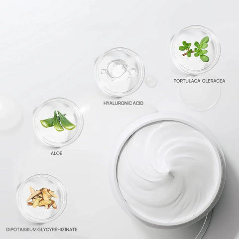 LANBENA Aloe Pore Cleansing Strips